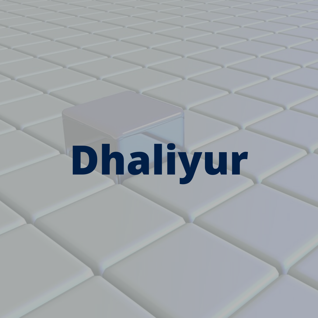 Dhaliyur BG Fly Ash Bricks