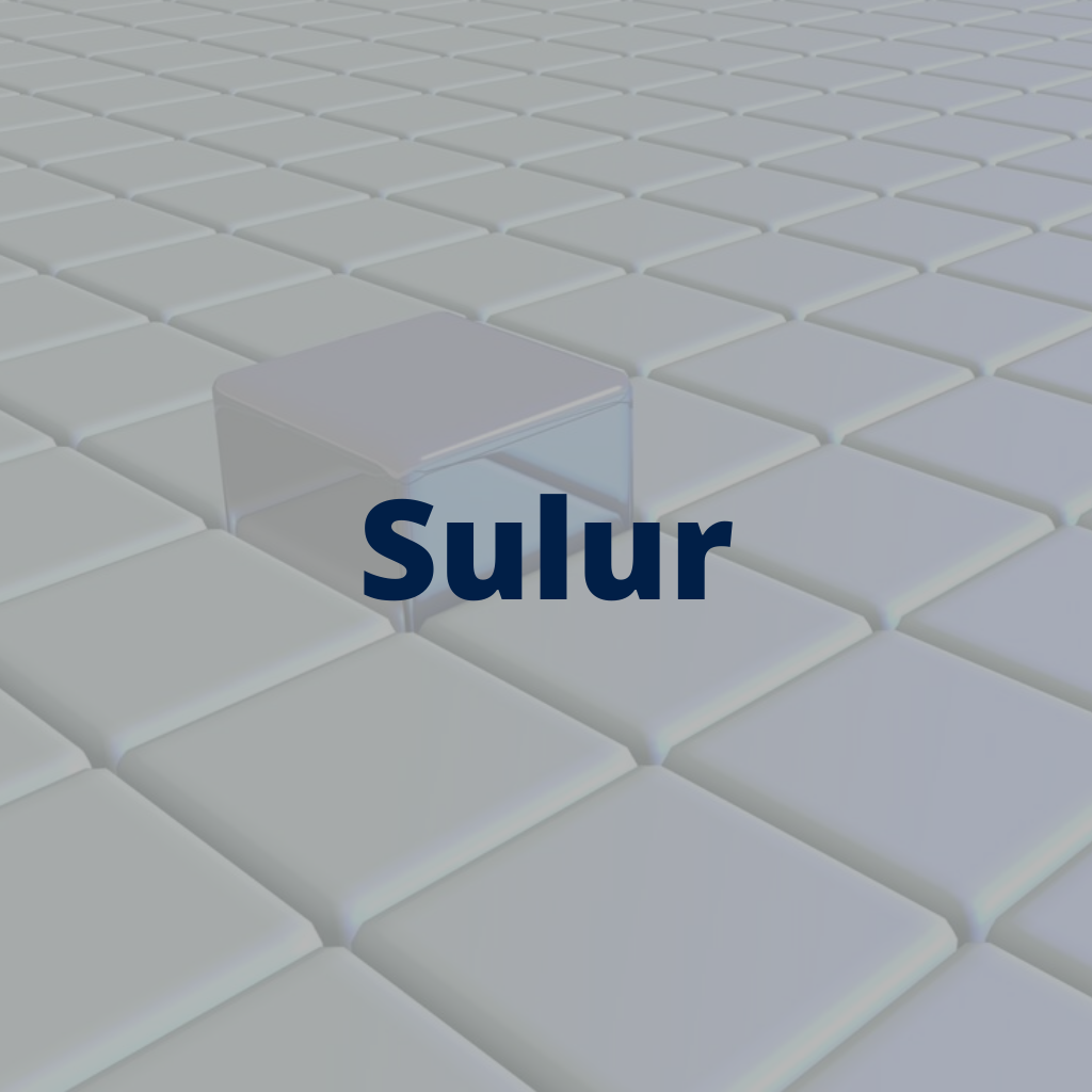 Sulur BG Fly Ash Bricks