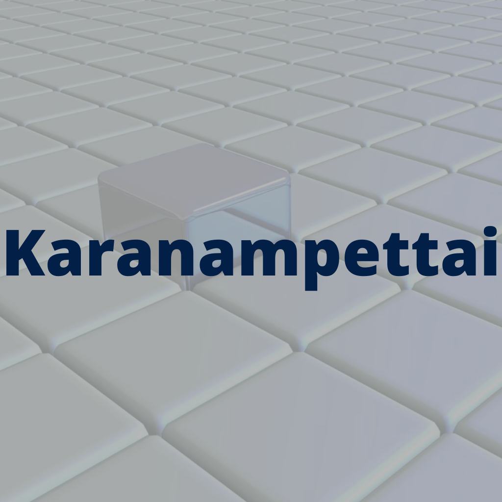 Karanampettai BG Fly Ash Bricks